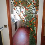 Rainbow House