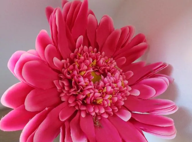 Rainbow House Apartment *