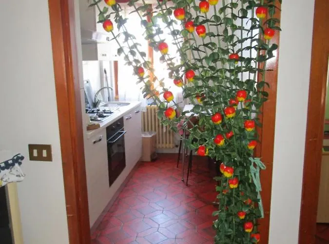 Rainbow House